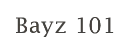 Bayz 101 Logo