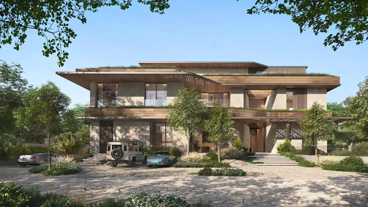 Moringa Mansions The Wilds Gallery