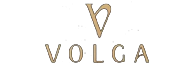 Volga Tower Logo