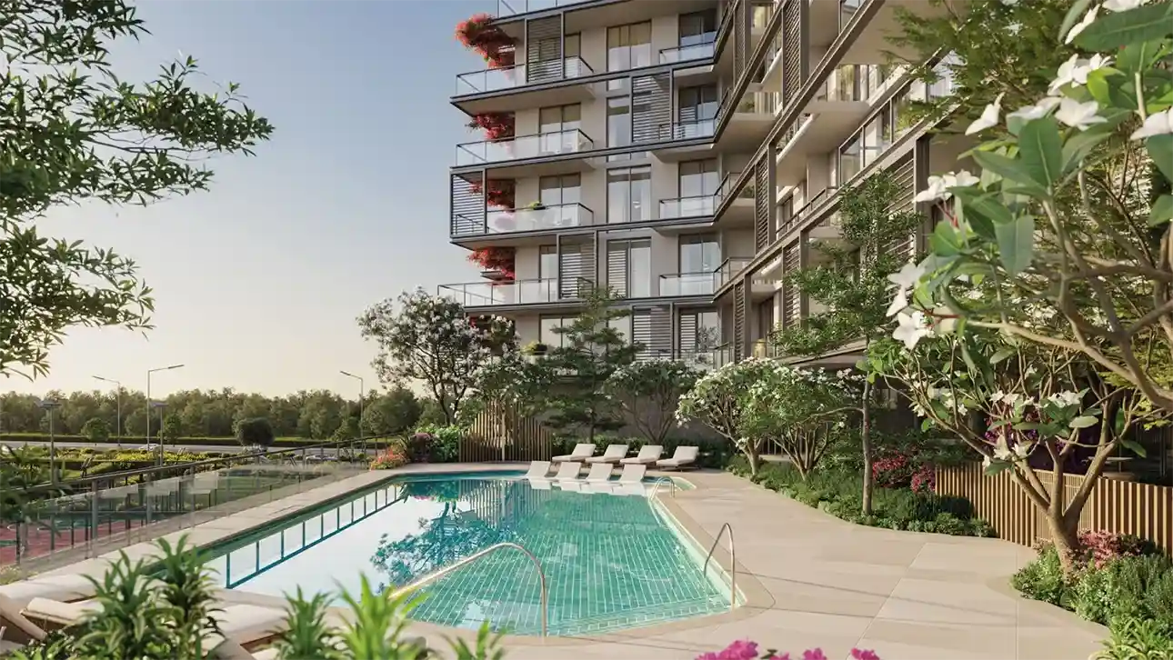 Yacht Royal at Al Sofouh